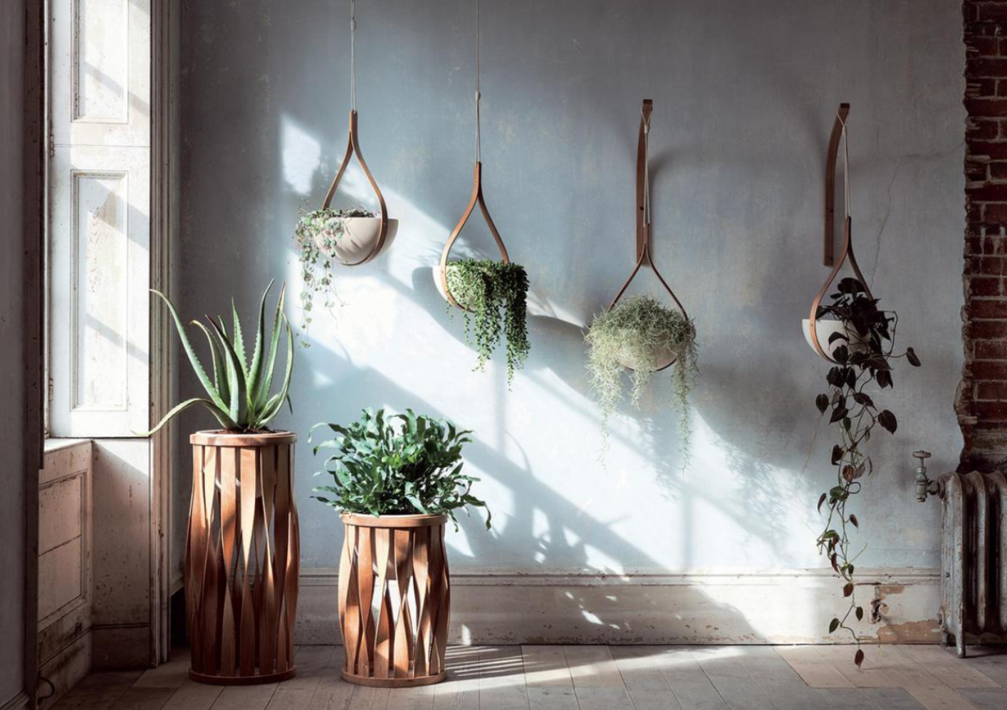 Biophilic design could be the key to happy home