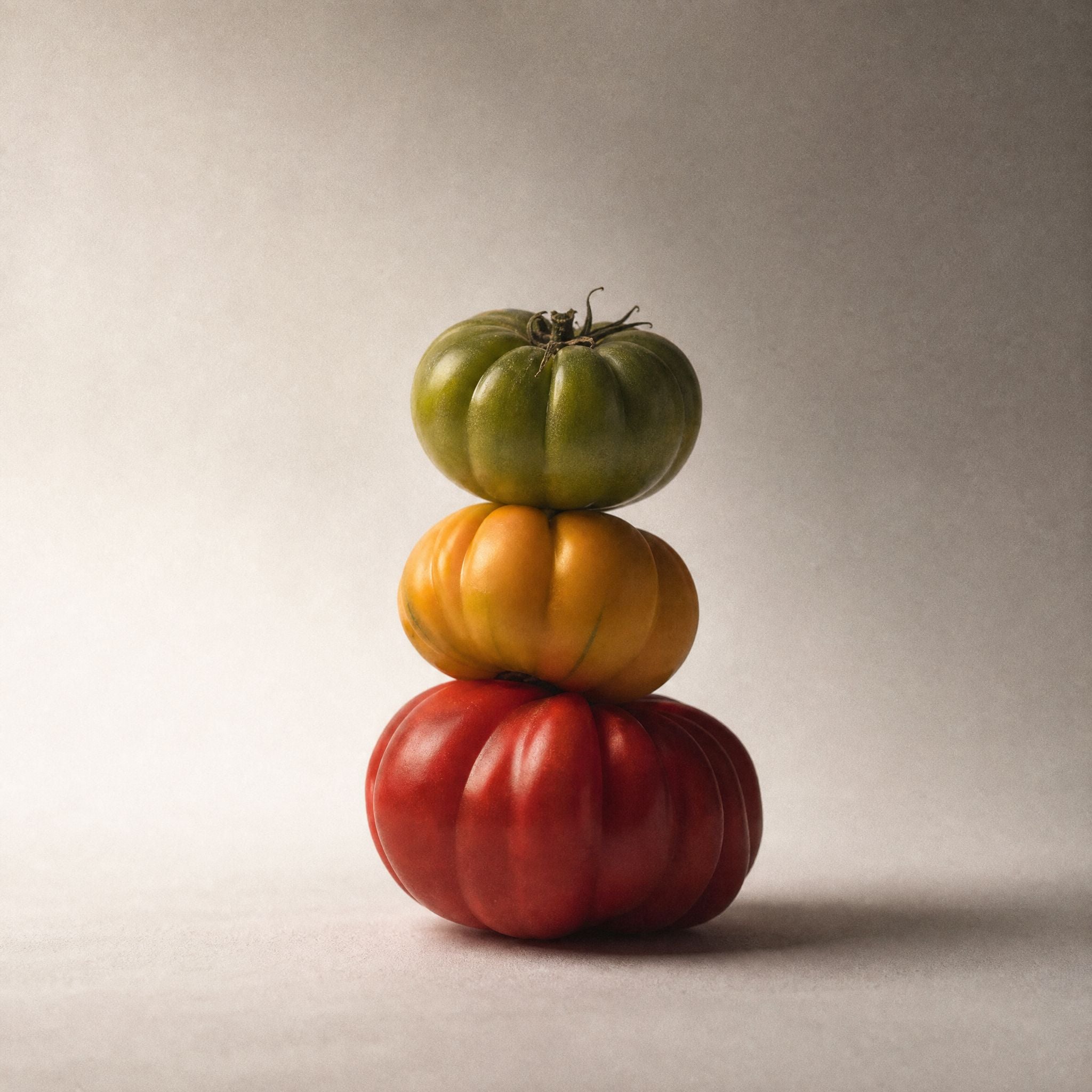 TO_-_Tomatoes.jpg